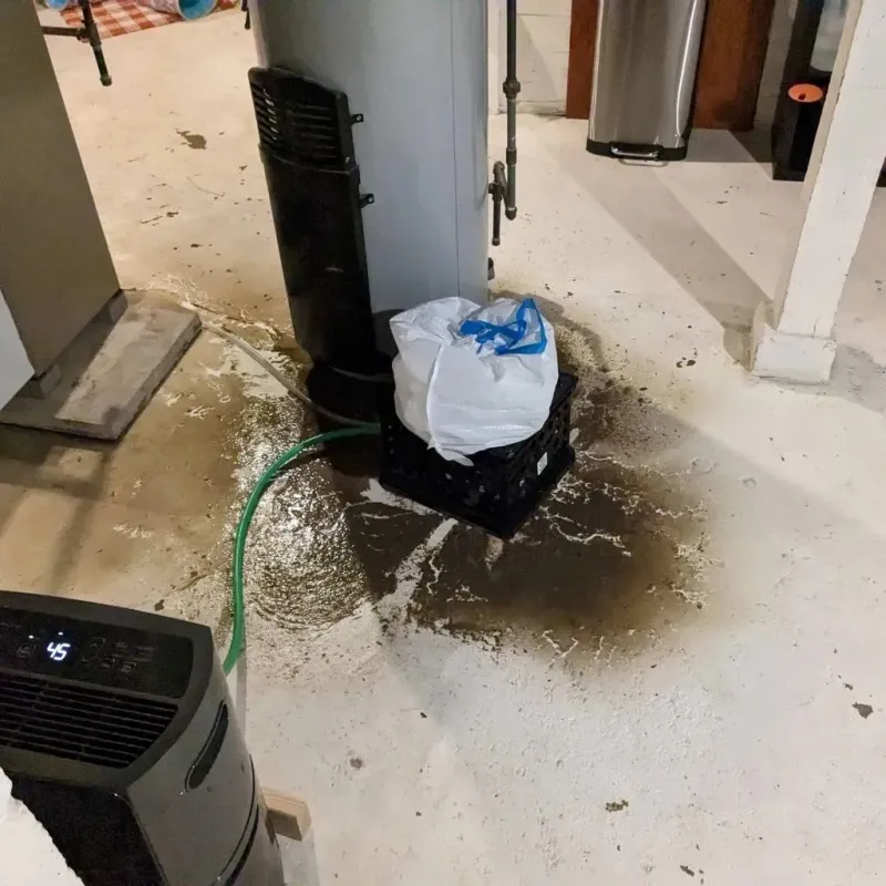 Sewage Backup Cleanup Service in Guadalupe County, TX